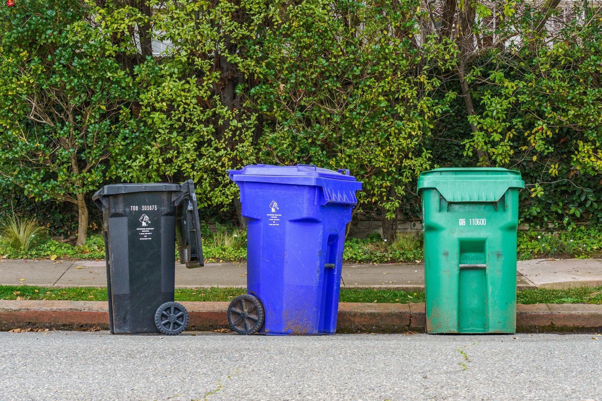 Garbage Can Cleaning